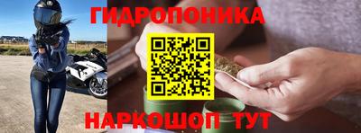 шишки Свободный