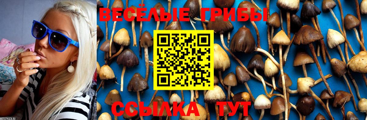 Подольск  как найти   Вход с VPN  Псилоцибиновые грибы Psilocybe  Галлюциногенные грибы мицелий 